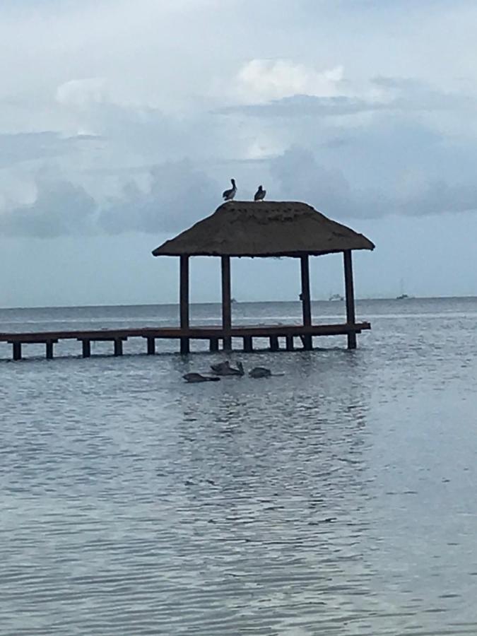Front Beach Private Room With Shared Bathroom 坎昆 外观 照片